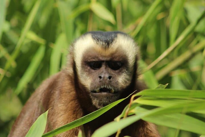 6-Day Manu National Park Jungle Expedition from Cusco to Puerto Maldonado photo 1