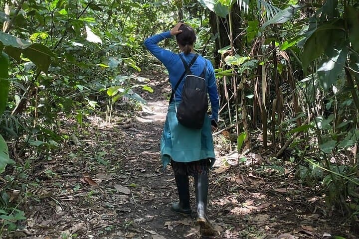 6-Day Manu National Park Jungle Expedition from Cusco to Puerto Maldonado photo 2