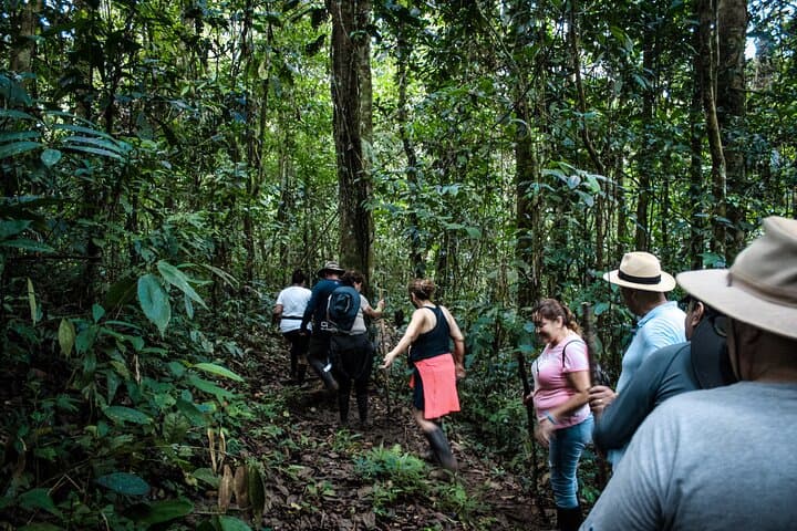 6-Day Manu National Park Jungle Expedition from Cusco to Puerto Maldonado photo 4