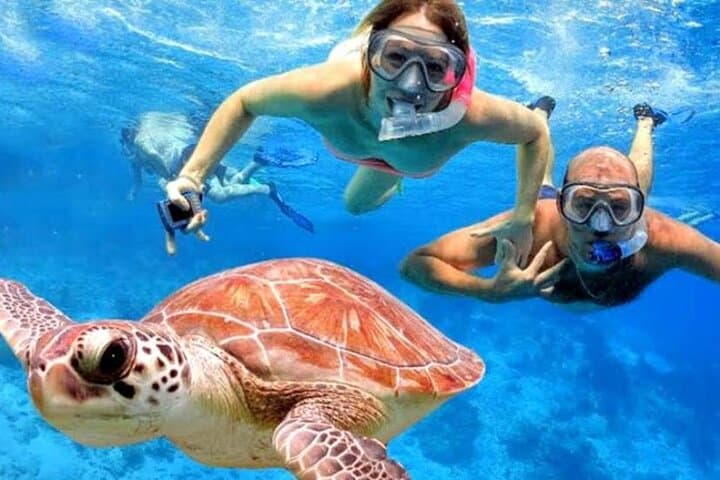 Manta Snorkel and Coastal Views: Full-Day Nusa Penida Tour photo 2
