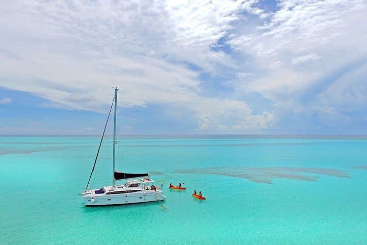 Full-Day Catamaran Snorkel Tour to Cozumel’s Best Reefs from Playa del Carmen photo 2