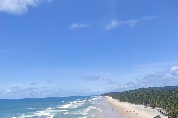 four-beaches-and-tijuipe-waterfall-itacare-coastal-hike