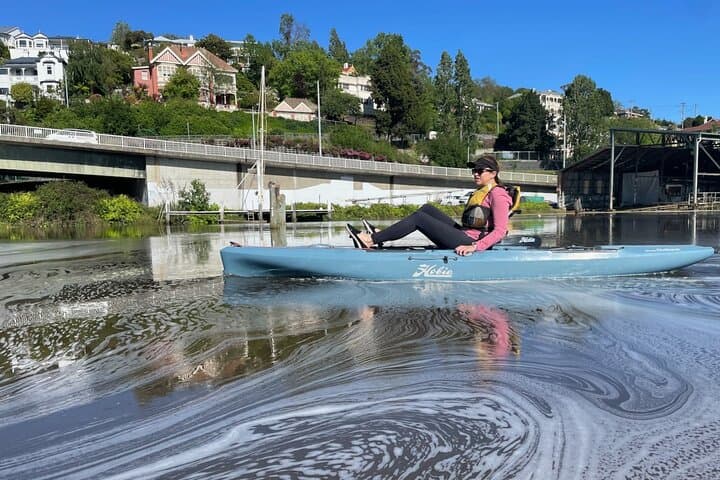 Hobie Kayak Tour on Launceston's Tamar River & Cataract Gorge