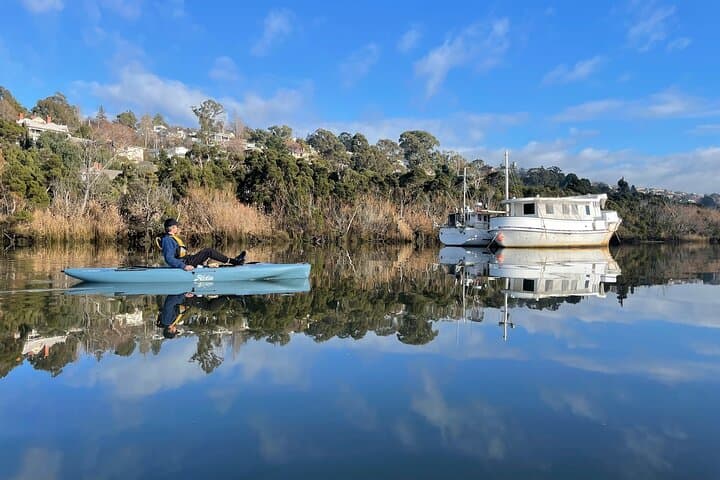 Hobie Kayak Tour on Launceston's Tamar River & Cataract Gorge photo 2