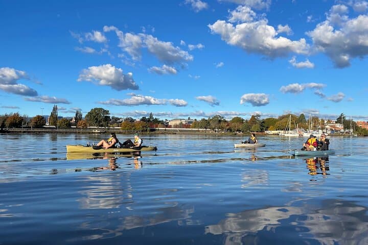 Hobie Kayak Tour on Launceston's Tamar River & Cataract Gorge photo 3