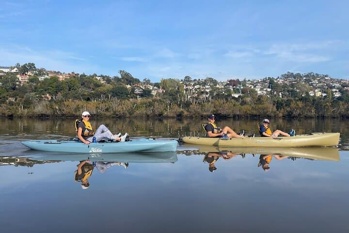 Hobie Kayak Tour on Launceston's Tamar River & Cataract Gorge photo 5