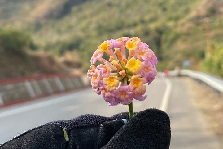 6-Day Uttarakhand Cycling Getaway to Rishikesh, Mussoorie & Kanatal photo 4