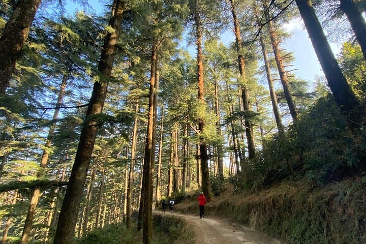 6-Day Uttarakhand Cycling Getaway to Rishikesh, Mussoorie & Kanatal photo 6