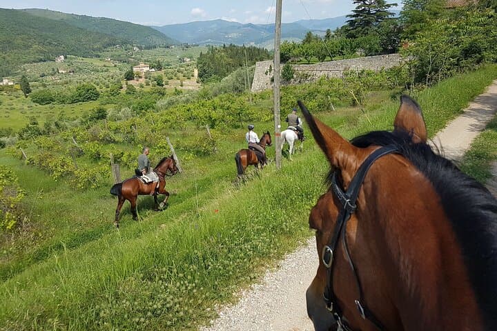 Chianti horseback ride and gourmet Tuscan lunch in a historic food shop photo 4