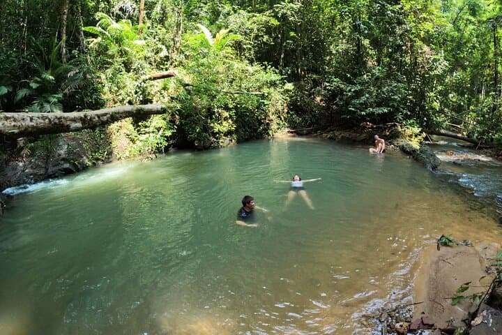 Phuket Jungle Hike: Small-Group Trek to Tonsai & Bang Pae Waterfalls photo 6