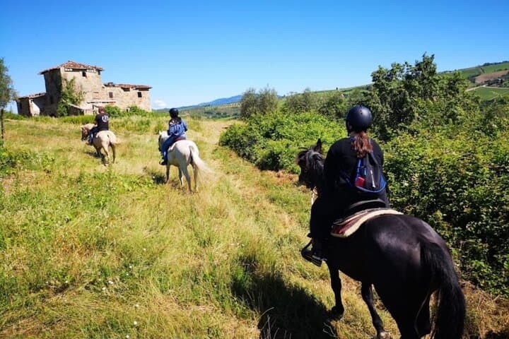 Chianti Horseback Ride and Poolside Day with Tuscan Lunch from Florence photo 6