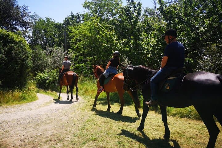 Chianti Horseback Ride and Poolside Day with Tuscan Lunch from Florence photo 3