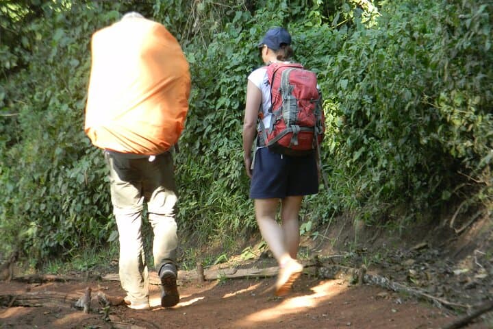 7-Day Lemosho Route Kilimanjaro Climb — Summit Uhuru Peak photo 2