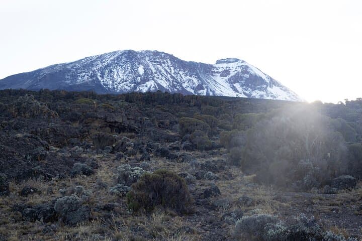 7-Day Lemosho Route Kilimanjaro Climb — Summit Uhuru Peak photo 4