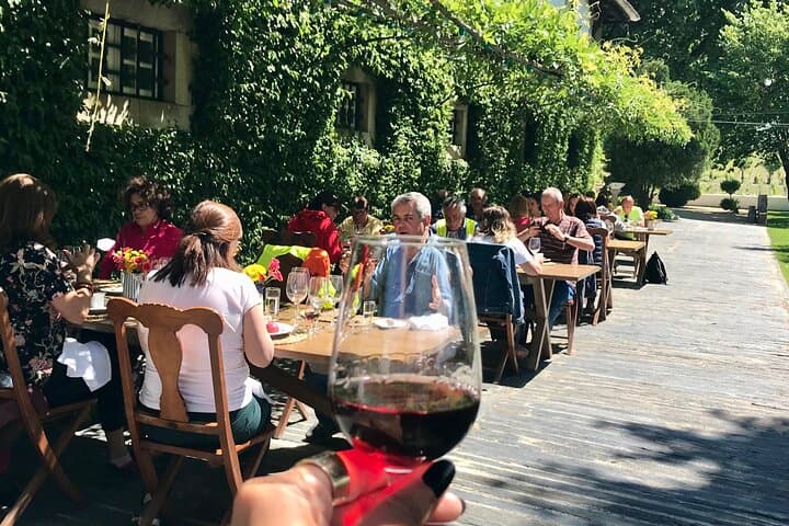 Douro Valley luxury walking tour with lunch at Quinta da Pacheca