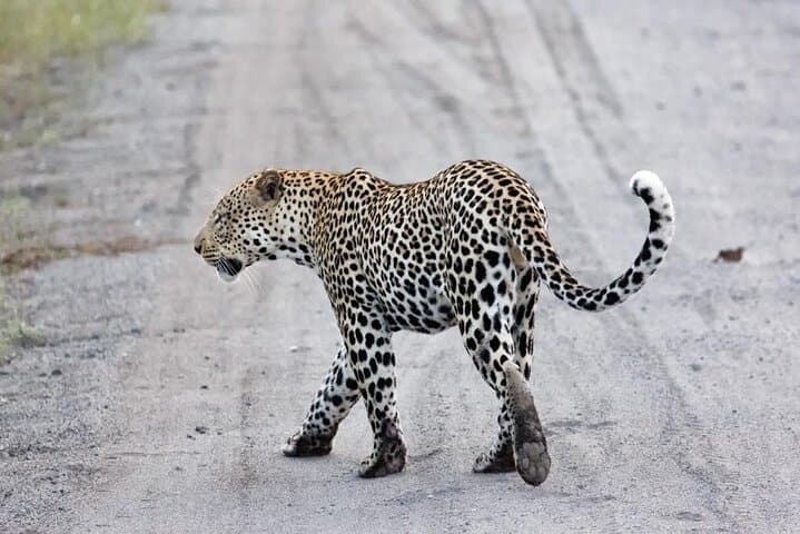 Full-Day Lake Mburo Safari from Kampala — Zebras, Hippos & Equator Stop photo 5