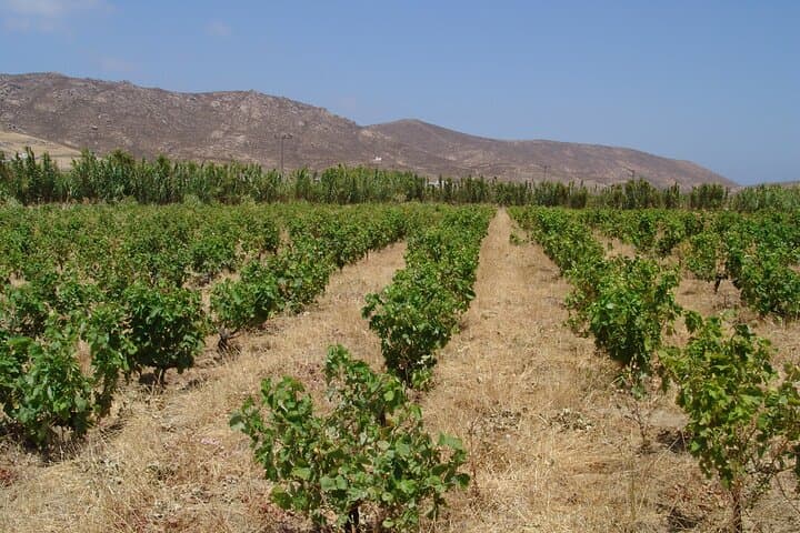 Complete Mykonos Island Tour with Wine or Craft Beer Tasting photo 5