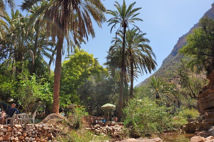 Paradise Valley Half-Day Trip from Agadir: Swim, Argan Co-Op & Atlas Views photo 5