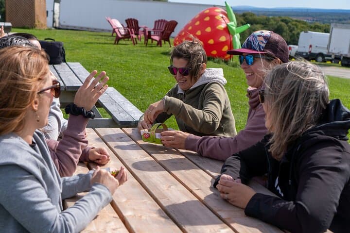 Ile d'Orléans E‑Bike Tour: Strawberries, Maple & Wine from Quebec City photo 5