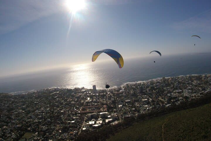 Urban Paragliding Over Cape Town: Tandem Flight from Signal Hill or Lion's Head photo 3