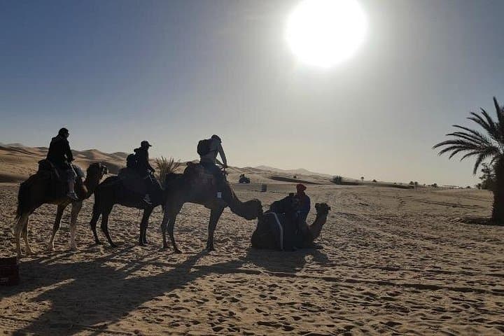 3-Day Private Desert Tour: Fez to Marrakech via Merzouga & Ait Benhaddou photo 3