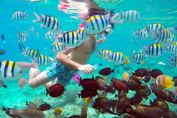 Gili Trawangan Island Hopping Snorkel: Reef, Wreck & Turtles in a Day photo 4