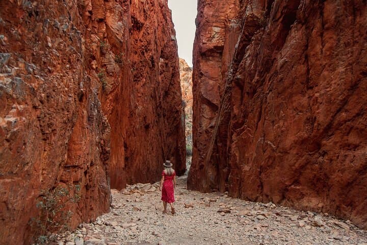 West MacDonnell Ranges Day Trip: Standley Chasm, Ormiston & Ellery Creek