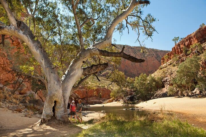 West MacDonnell Ranges Day Trip: Standley Chasm, Ormiston & Ellery Creek photo 2
