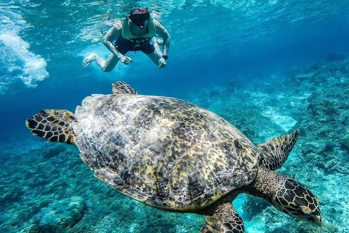 Gili Trawangan Island Hopping Snorkel: Reef, Wreck & Turtles in a Day photo 6