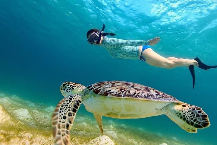 Gili Trawangan Island Hopping Snorkel: Reef, Wreck & Turtles in a Day photo 2
