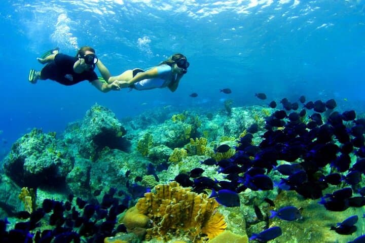 Gili Trawangan Island Hopping Snorkel: Reef, Wreck & Turtles in a Day photo 5