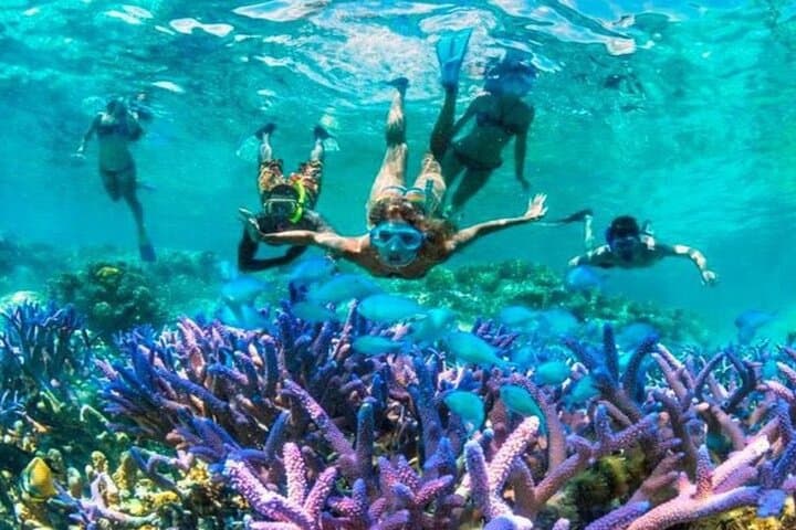 Gili Trawangan Island Hopping Snorkel: Reef, Wreck & Turtles in a Day photo 3
