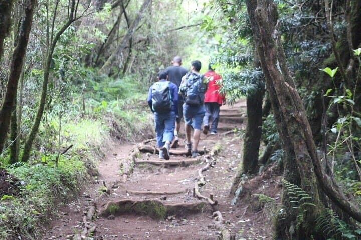 5-Day Marangu Route Kilimanjaro Climb — Summit Uhuru Peak via Marangu photo 3
