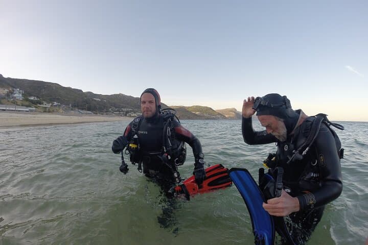 Beginner Scuba Diving in Simon's Town: Kelp Forest Dives with Seals & Penguins photo 3
