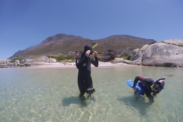 Blue Safari Kelp Snorkeling in Simon's Town — Kelp Forests & Penguin Walk photo 2