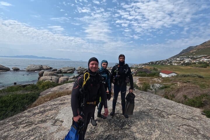 Beginner Scuba Diving in Simon's Town: Kelp Forest Dives with Seals & Penguins photo 4