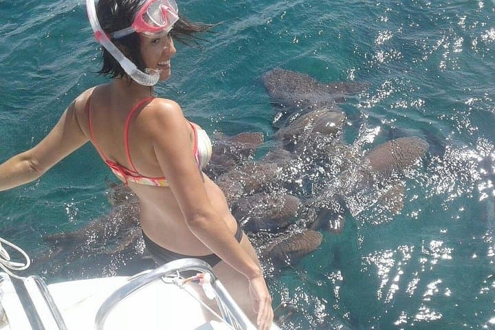 Sunset Snorkel & Island Hopping: Hol Chan, Shark Ray Alley & Caye Caulker Full-Day Tour photo 1