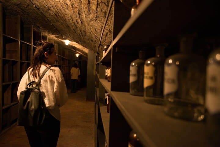Vienna Underground Guided Walking Tour — Explore Hidden Cellars & WWII Shelters photo 4