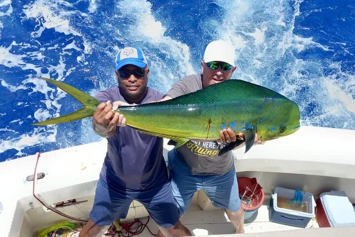 Offshore Trophy Fishing in Punta Cana: Mar‑Quesa 4–8 Hour Charter