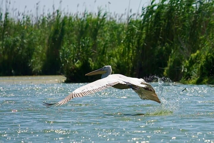 4-Day Danube Delta Expedition: Sulina, Letea Forest & Black Sea Coast