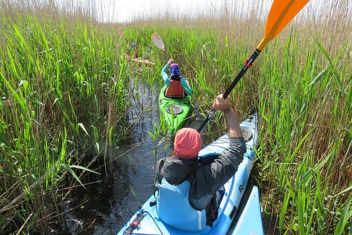 4-Day Danube Delta Expedition: Sulina, Letea Forest & Black Sea Coast photo 3
