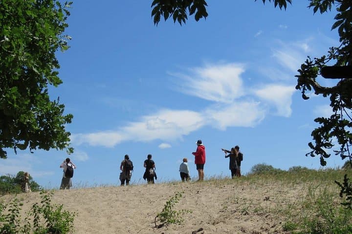 4-Day Danube Delta Expedition: Sulina, Letea Forest & Black Sea Coast photo 5