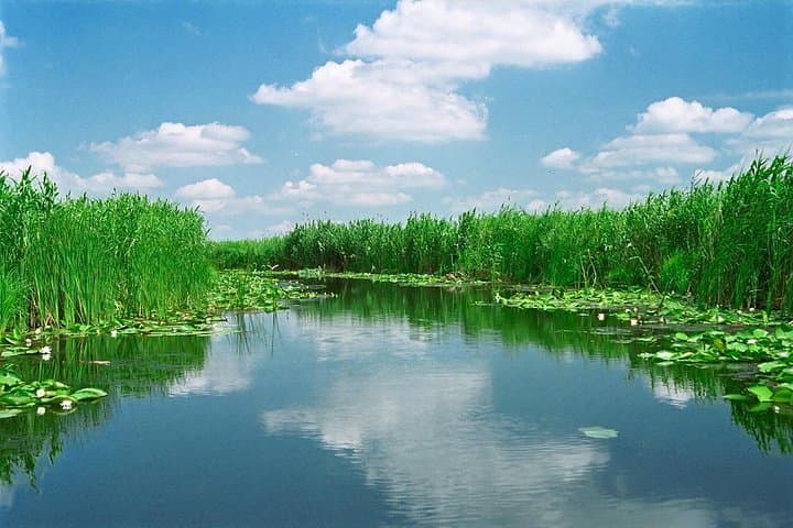 4-Day Danube Delta Expedition: Sulina, Letea Forest & Black Sea Coast photo 6