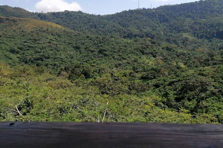 Full-Day Volta Experience: Mount Gemi, Canopy Walk & Tafi Atome Monkey Sanctuary photo 4