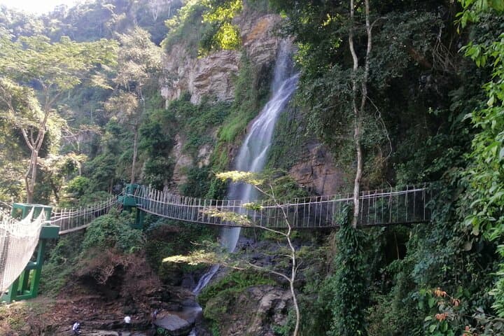 Full-Day Volta Experience: Mount Gemi, Canopy Walk & Tafi Atome Monkey Sanctuary photo 3