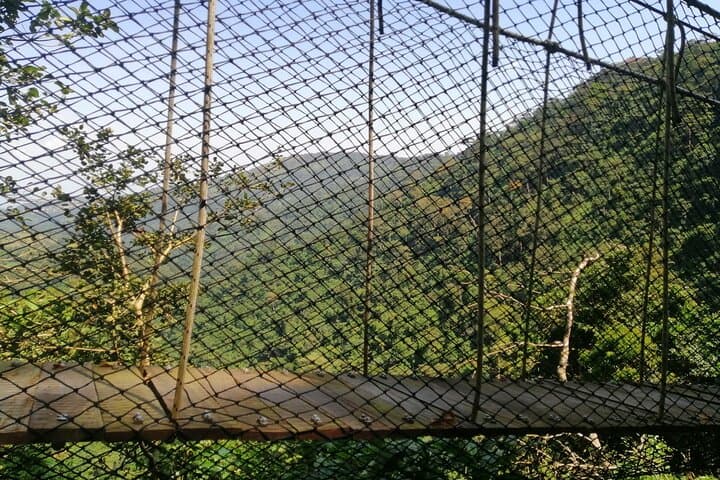 Full-Day Volta Experience: Mount Gemi, Canopy Walk & Tafi Atome Monkey Sanctuary