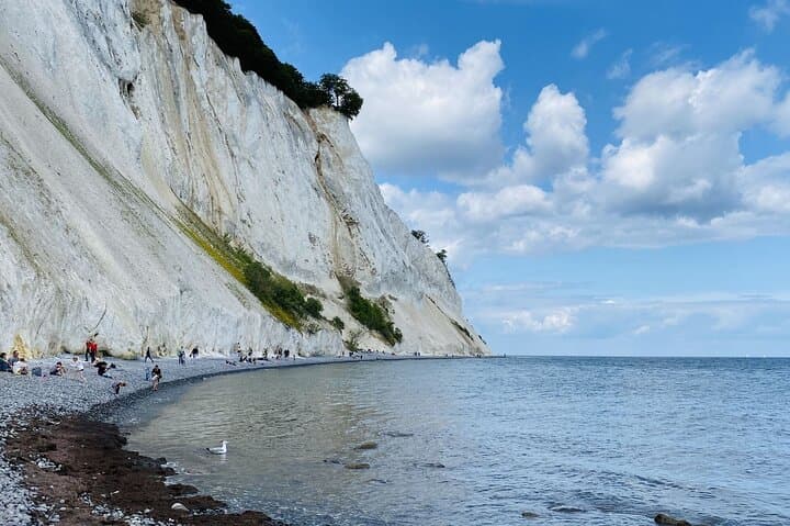 Møns Klint & Forest Tower Day Tour from Copenhagen — Cliffs, Treetop Walkway & Coastal Walks