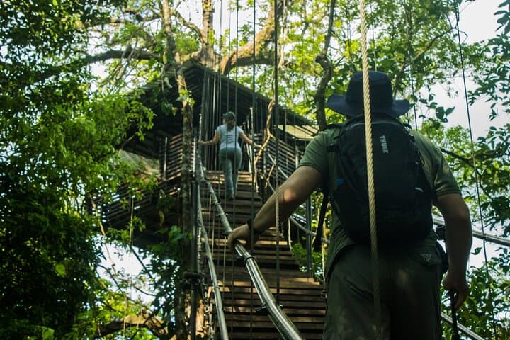 Healing Thermals at Sensoria: Rainforest Thermal Pools, Waterfalls & Chef Lunch photo 5
