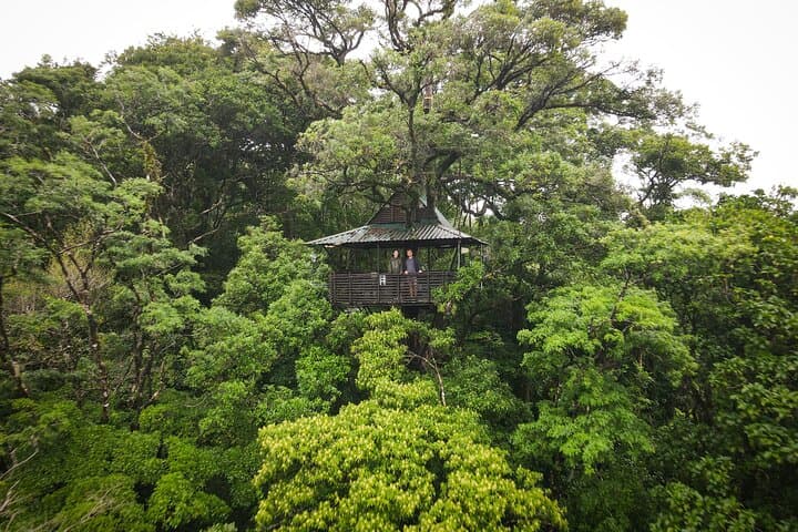 Healing Thermals at Sensoria: Rainforest Thermal Pools, Waterfalls & Chef Lunch photo 6