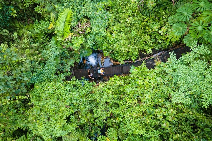 Healing Thermals at Sensoria: Rainforest Thermal Pools, Waterfalls & Chef Lunch photo 4